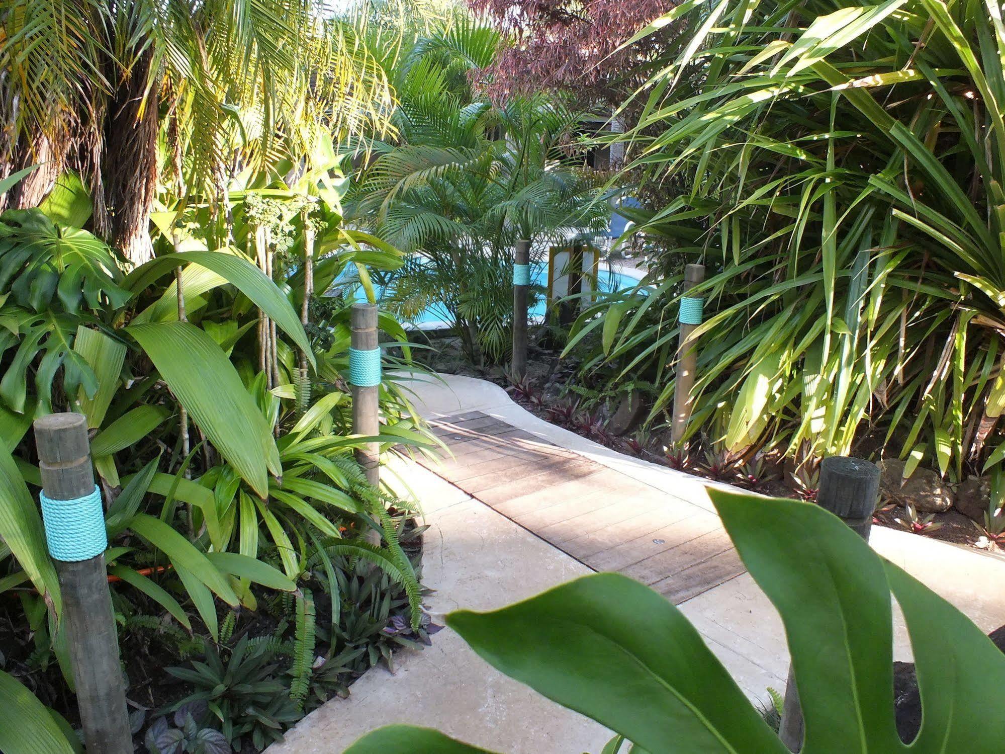 Rarotonga Daydreamer Escape ภายนอก รูปภาพ